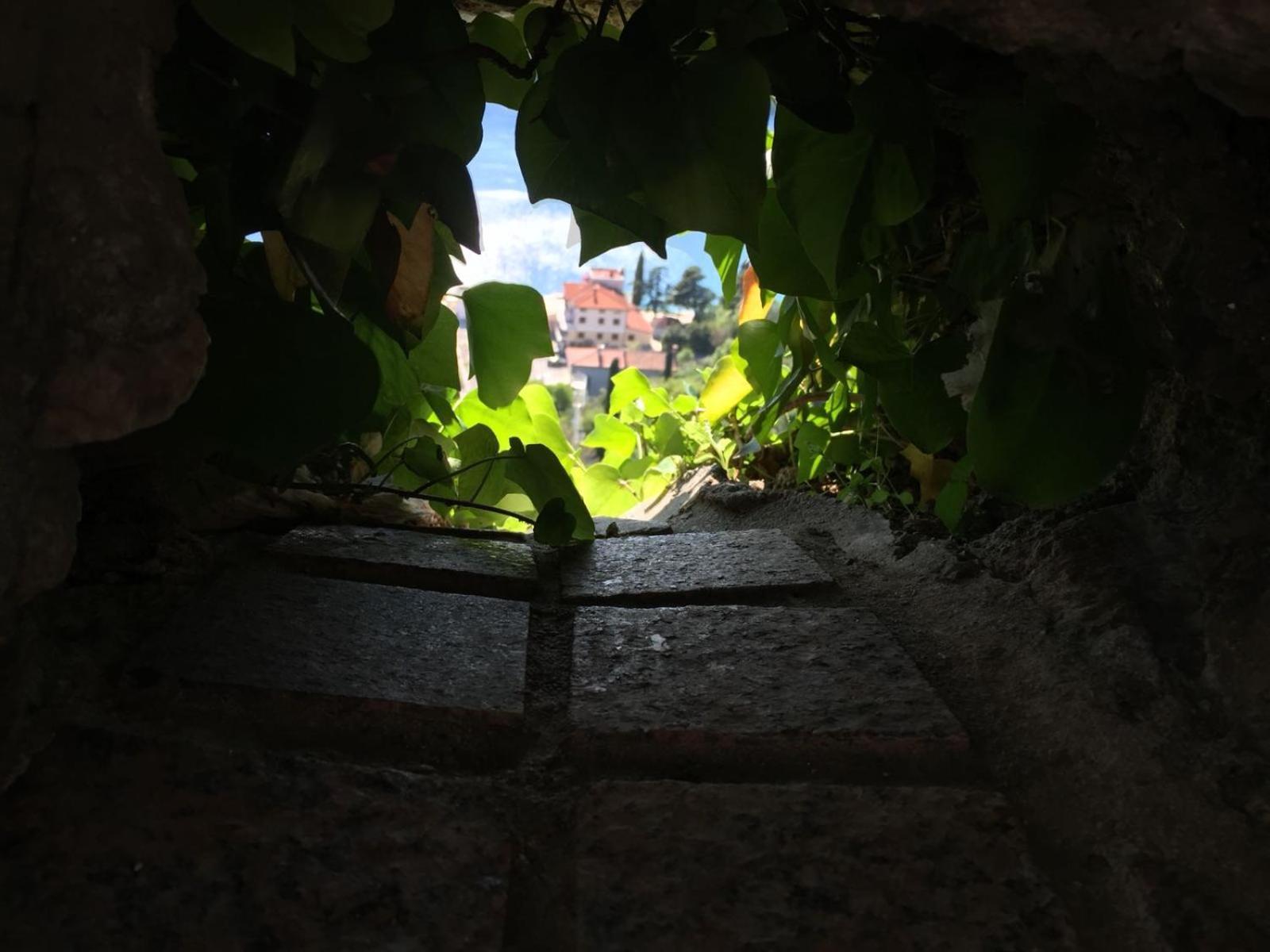 Appartement Suzana *